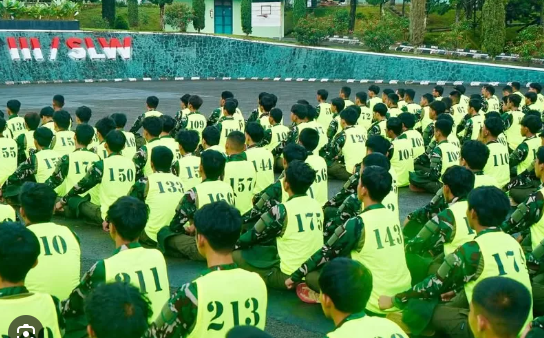 Understanding and Responding to Deviant Behavior in Children and Adolescents: A Guide for Frontline Professionals CHUB306